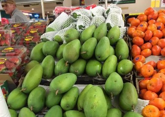 Quảng bá sản phẩm xoài xanh Việt Nam tại thị trường Australia
