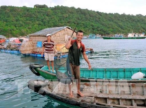 Nghề nuôi cá lồng bè ở xã đảo Thổ Châu