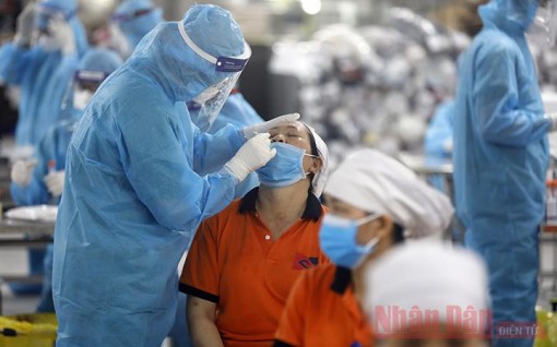 12 chính sách hỗ trợ người lao động, người sử dụng lao động gặp khó khăn do Covid-19