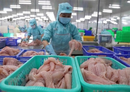 Xuất khẩu thủy sản nửa đầu năm 2021 vượt mốc 4,1 tỷ USD