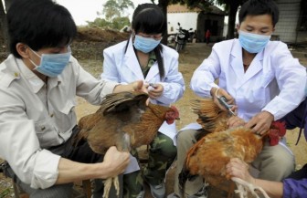 Khẩn trương phòng chống cúm gia cầm A/H5N8 lần đầu xuất hiện tại Việt Nam