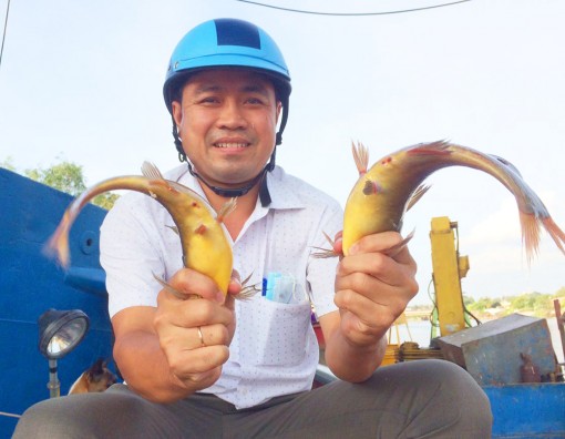 Bắt dính cá chốt chuột “khủng”, hiếm gặp