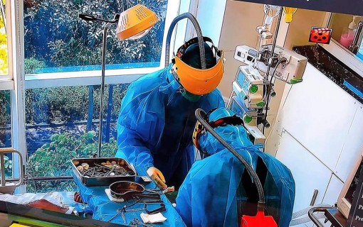4 ca tử vong do Covid-19 là bệnh nhân cao tuổi