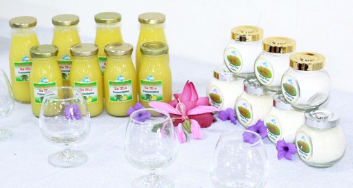 Nghiên cứu đa dạng hóa các sản phẩm chế biến từ xoài