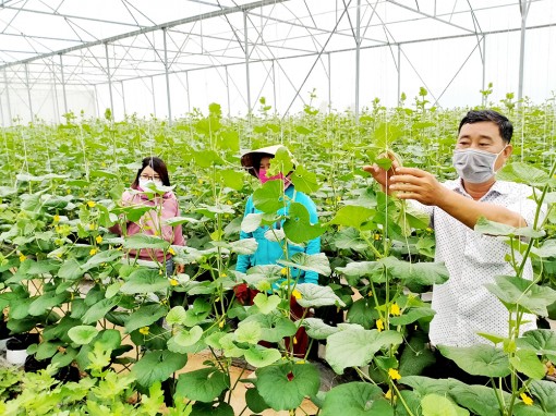 Châu Phong đẩy mạnh phát triển kinh tế