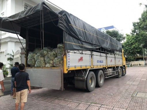 Hội Liên hiệp Phụ nữ tỉnh An Giang hỗ trợ 10 tấn hàng hóa cho Hội Liên hiệp Phụ nữ TP. Hồ Chí Minh