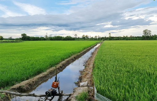 Sản xuất nông nghiệp theo tín hiệu thị trường