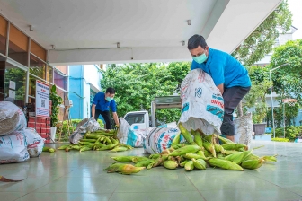 Hỗ trợ nông dân Phú Tân tiêu thụ bắp do ảnh hưởng dịch bệnh COVID- 19