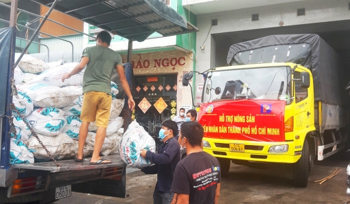 Hỗ trợ tiêu thụ 6 tấn bắp của nông dân An Giang để chia sẻ với người dân TP. Hồ Chí Minh chống dịch