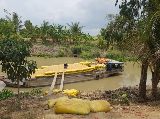 Gỡ khó cho thu hoạch và tiêu thụ nông sản