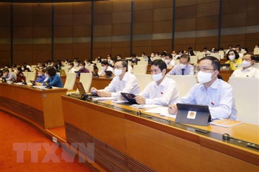 Năm nhóm vấn đề lớn cử tri và nhân dân kiến nghị tới Quốc hội