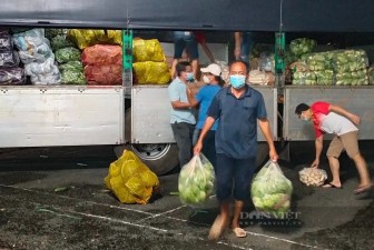 Chôm chôm, nhãn chín rộ, Đồng Nai khẩn cấp kêu gọi hỗ trợ tiêu thụ nông sản cho nông dân