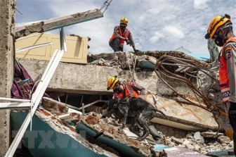 Động đất cường độ 5,9 làm rung chuyển khu vực Tây Indonesia