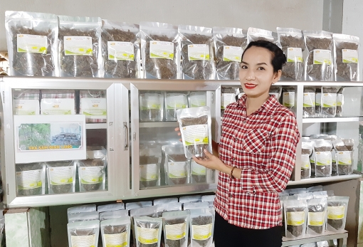 Phụ nữ quê khởi nghiệp với trà và rượu đinh lăng