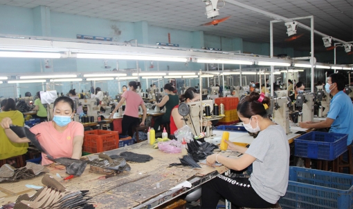 Bảo hiểm xã hội An Giang khẩn trương thực hiện các chính sách hỗ trợ người lao động, doanh nghiệp khó khăn do COVID-19