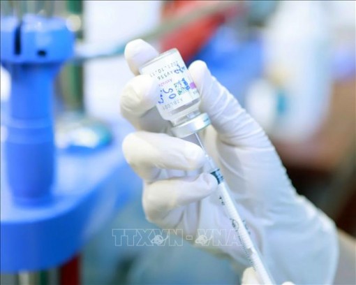 Chính phủ Anh và Séc viện trợ vaccine phòng COVID-19 cho Việt Nam