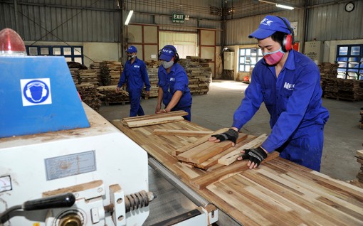 Hiện thực hóa tốt hơn cơ hội từ EVFTA