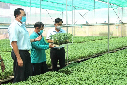 Tân Châu nhiều nhiệm vụ trọng tâm phát triển kinh tế - xã hội