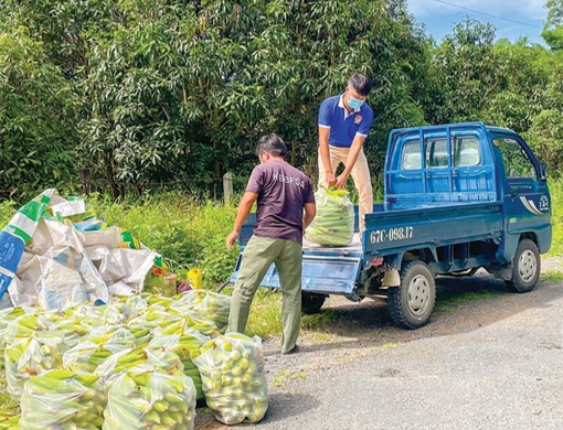 Thanh niên hỗ trợ nông dân tiêu thụ nông sản