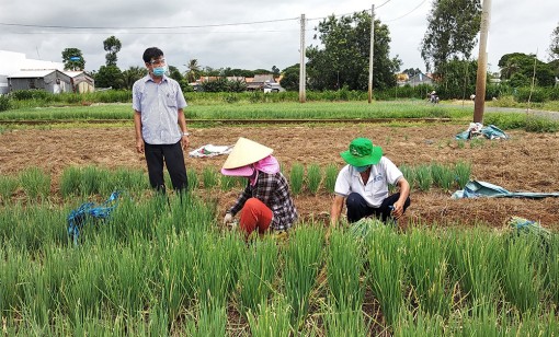 Nghĩa cử đẹp của nhà nông… thời COVID !