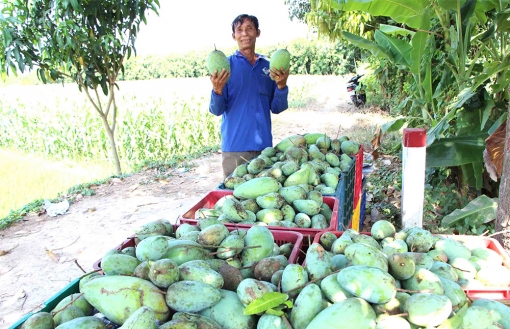 Chợ Mới vừa chống dịch, vừa phát triển kinh tế