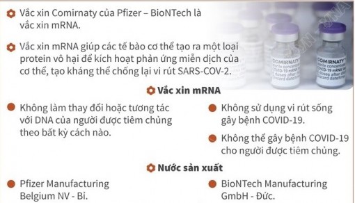 Thông tin cần biết vaccine Comirnaty của Pfizer-BioNTech