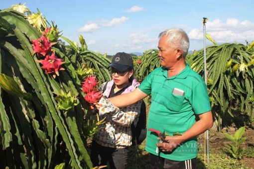 Bí quyết để Yang Trung đạt chuẩn nông thôn mới đúng hẹn