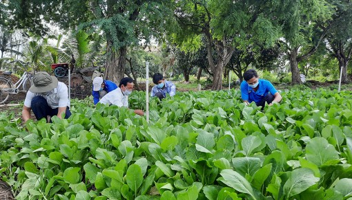 Hội Nông dân huyện Châu Phú hỗ trợ người dân trong giai đoạn dịch bệnh