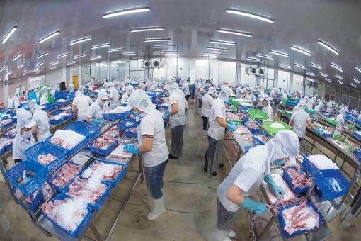 Doanh nghiệp thực hiện giãn cách, áp dụng “3 tại chỗ”