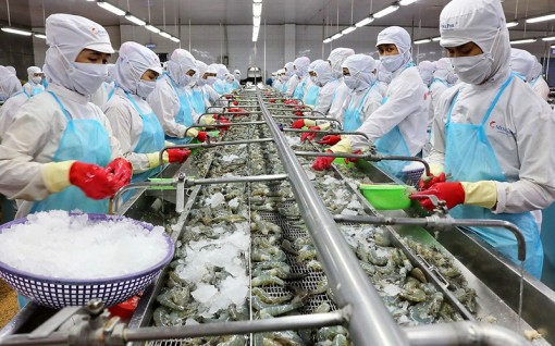 Không để đứt gãy chuỗi sản xuất, cung ứng và tiêu thụ nông sản