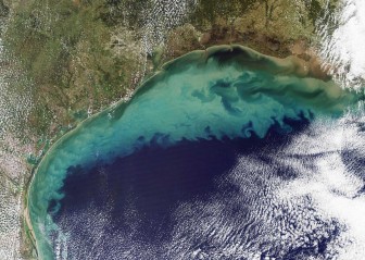 Giới khoa học phát hiện ‘vùng chết’ khổng lồ dưới đáy Vịnh Mexico