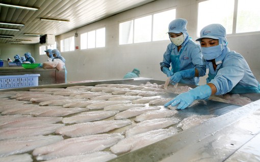 Nhiều giải pháp khơi thông tiêu thụ và xuất khẩu nông sản