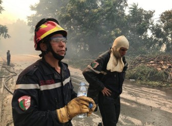 Cháy rừng lan rộng tại Algeria, 42 người thiệt mạng