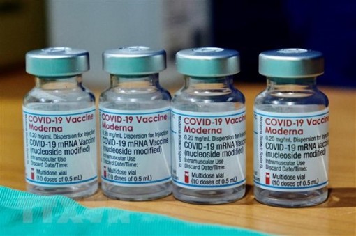 Mức độ sinh kháng thể là dấu hiệu nhận biết sớm hiệu quả của vaccine