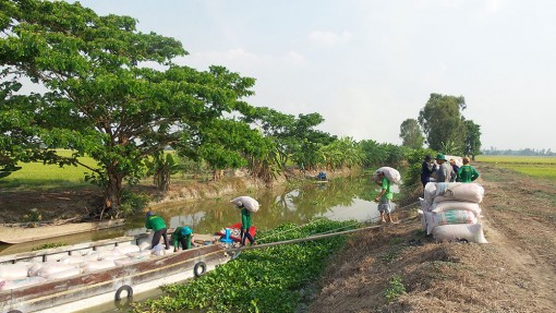 Gắn kết tiêu thụ nông sản