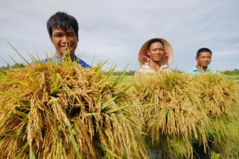 Tạo điều kiện cho doanh nghiệp tiếp cận nguồn vốn thu mua thóc gạo, hàng hóa