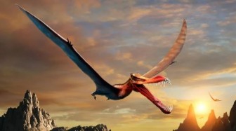 Tìm thấy hóa thạch của "rồng ngoài đời thực” tại Australia