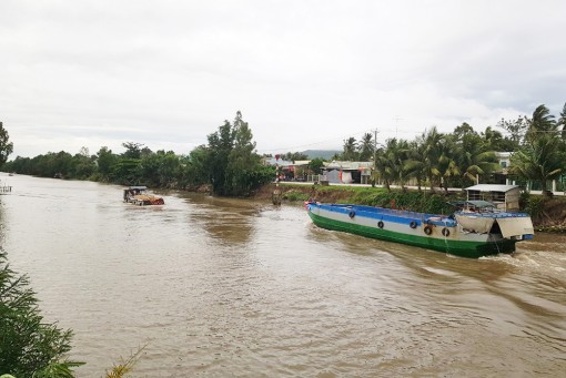 An Giang: Nông dân vẫn gặp khó trong thu hoạch, tiêu thụ lúa