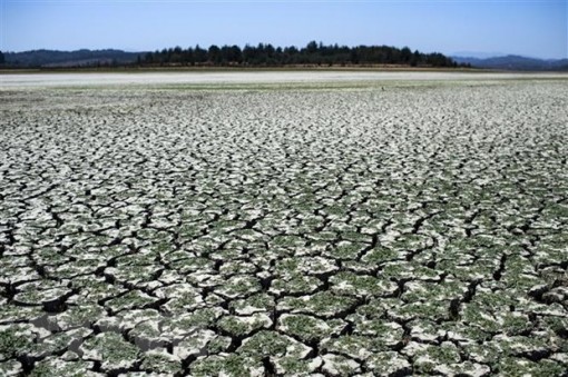 Mỹ đánh giá tháng Bảy là tháng nóng nhất của cả thế giới