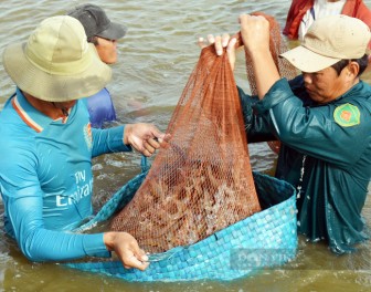 Mỹ tăng mua loại thủy sản này của Việt Nam, giảm nhập khẩu từ Trung Quốc
