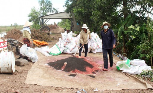 Phân bón tăng giá đến 72%, An Giang đẩy mạnh kiểm tra