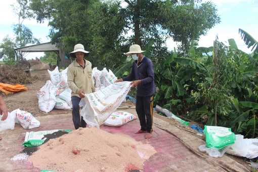 Giá phân bón tăng mạnh, nông dân cần sử dụng tiết kiệm