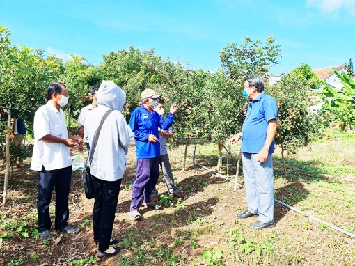 Vận động nông dân sản xuất thích ứng tình hình dịch bệnh