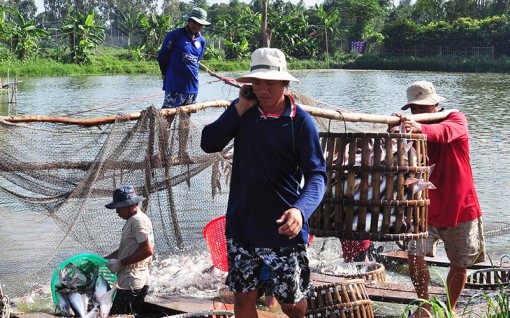Linh hoạt cách làm để tiêu thụ nông sản