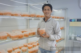 Đà Nẵng: Nông nghiệp có gì hấp dẫn mà nhiều người chọn để khởi nghiệp?