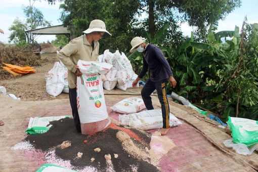 Nỗi lo giá phân bón tăng