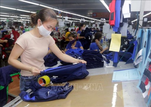 Thành lập nhóm tư vấn trong nước theo quy định trong Hiệp định EVFTA