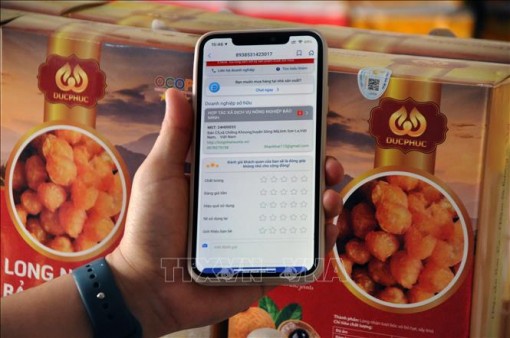 Hỗ trợ chuyển đổi số nâng cao hiệu quả kinh doanh