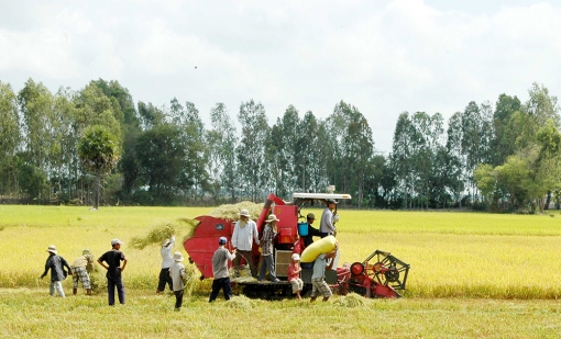 An Giang vượt khó phát triển kinh tế - xã hội thời dịch bệnh