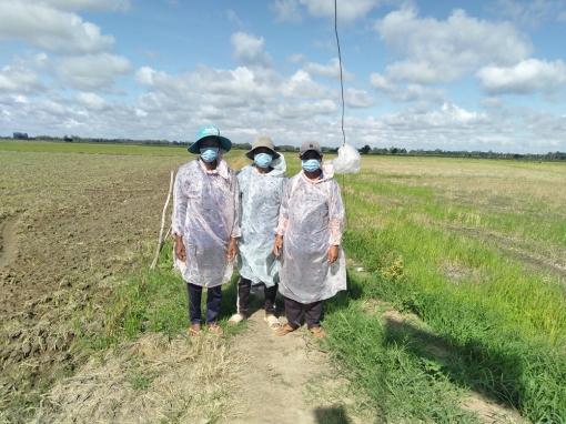 Đồn Biên phòng Cửa khẩu Vĩnh Hội Đông phát hiện 3 đối tượng nhập cảnh trái phép